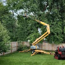 Pest Control for Lawns in Waynesboro, PA